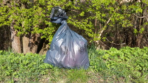 Frühjahrsputz und Müllsammelaktion